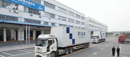 粤港澳大湾区出海再添新通道 产业链、物流网带动“湾区制造”联动世界