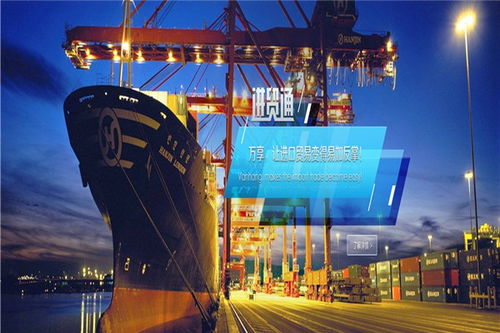 深圳港进口宠物香波与宠物用品清关及国内货运代理全指南